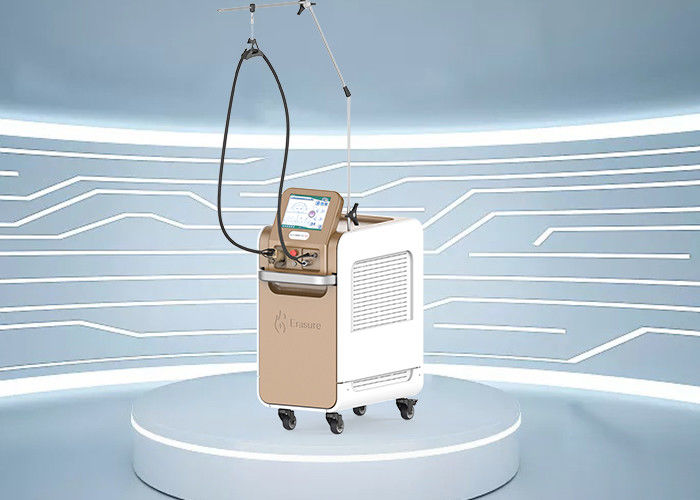 PP DI Filterとの携帯用755nm Alexandriteレーザーの毛の取り外し機械220V AC