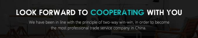 アレキサンドライト ミニポータブル美容機器 スマートタッチ 電源部 バイソンライト 簡単 755nm ミニマシン アレキサンドライト 755nm レーザー脱毛 11